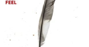 Sleeping With Sirens - Feel