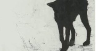 Headcount - Lullabies For Dogs Artwork