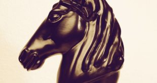 S.O.A.R. announce ZOAX as new signing