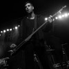 American Fangs photos