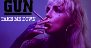 Gun