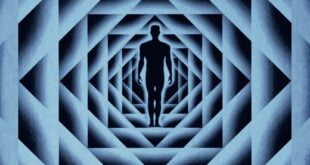 The Limit