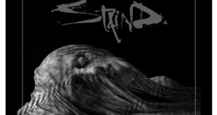 Staind